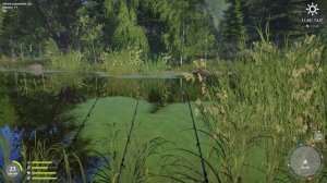 РР4 СТАРЫЙ ОСТРОГ ЛИНЬ / РУССКАЯ РЫБАЛКА 4 ЛИНЬ / RUSSIAN FISHING 4 / ТРОФЕЙНЫЙ ЛИНЬ