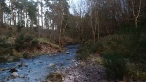 Samsung NX2000 // Glencorse Reservoir // Waterfall