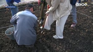 Клумбы Ставрополя начали готовить к весне