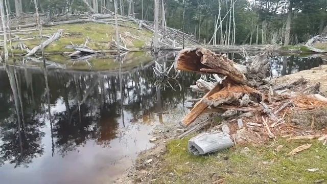 Ушуайя. Край света. Огненная Земля. Путешествие по Аргентине смотреть онлайн