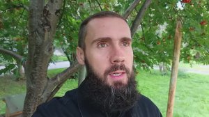 295-ый день воздержания / классический отчёт