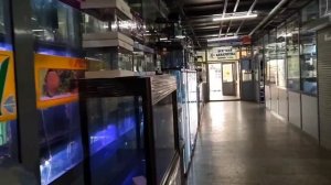 Пискаревский (Кондратьевский) рынок (Санкт-Петербург). Самый известный "птичий" рынок Питера.