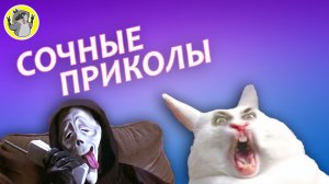 ЧУВААААК ПРИКОЛЫ до ЗЕЛЕНЫХ СОПЛЕЙ FAKES JOKES 2022 #11