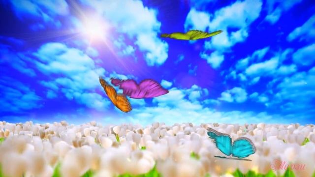 Полевые цветы,летние краски смотреть онлайн