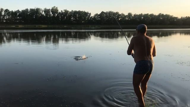 Астраханская область.Рыбалка на реке Кривой Бузан. Август 2021. смотреть онлайн