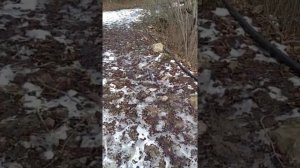 как проходит ГАЗ высокого давления вДжиробачи