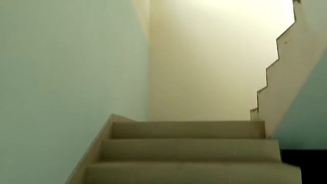 г.Тихвин, мкр. 1а, д.50,кор.2 ЛЕСТНИЦА смотреть онлайн