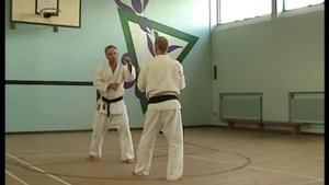 Motobu Drills  1 - 12