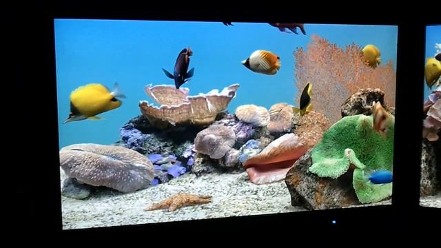 Serene Screen 3.2 on Eyefinity Triple 23" Screens смотреть онлайн