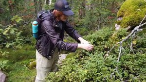 Путешествие на Колчимский (Помяненный) камень