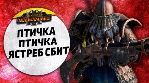 Птичка-Птичка, Ястреб сбит! | Гномы Хаоса vs Гномы | Завоевание | Total War: WARHAMMER 3