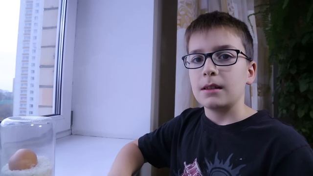 Таинственное яйцо смотреть онлайн