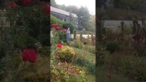 А в Иерусалиме. Украинская колядка П.И.Сикур.