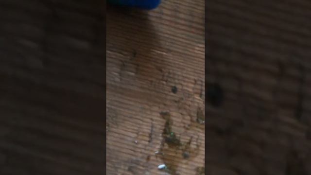 Как сделать шахматы смотреть онлайн