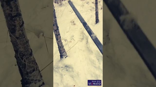 3 способа поймать утку или селезня без ружья(Советы,ужасы,приколы) смотреть онлайн