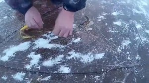 Рыбалка на Хапугу хлопок, зимой Зимняя рыбалка на Амуре