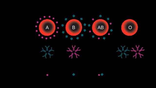 Charles R. Drew Blood Plasma Bank смотреть онлайн