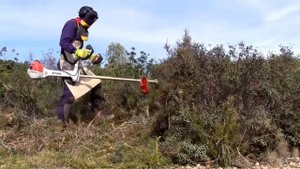 Мотокоса STIHL FS 560 C-EM | Пример работы в полевых условиях