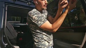 Москитная сетка на автомобиль