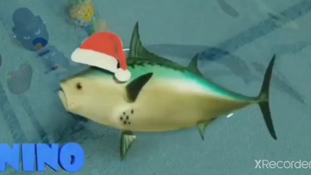 23 ноября 2021 г. смотреть онлайн