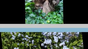 Какой декор для сада можно сделать своими руками