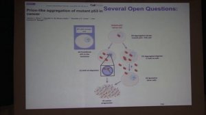 Talk by Jerson Silva (Federal University, Brazil) at IDP 2017 at IISER Mohali (Dec 9-12, 2017)