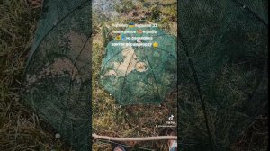 ловля раков 🦐 рыбы 🐟 на ракаловку зонтик вершу морду снасти рыбалка удалась богатый улов