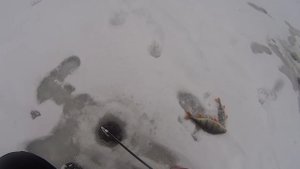 Зимняя рыбалка.Ловля на безмотылки.Ловля крупной рыбы на чертик.Часть 2-я