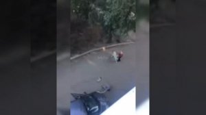 Алабай напал на женщину
