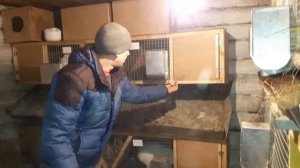 Обзор маточника для кроликов//Ставим маточники в клетки//Ждем потомства!!!