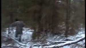 охота с лайкой