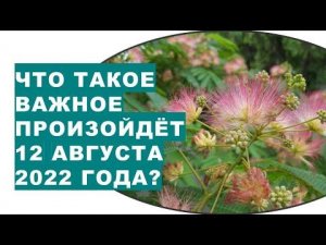 Что такое важное произойдёт 12 августа 2022 года? Готовы ли мы встретиться с собой настоящим этой ос