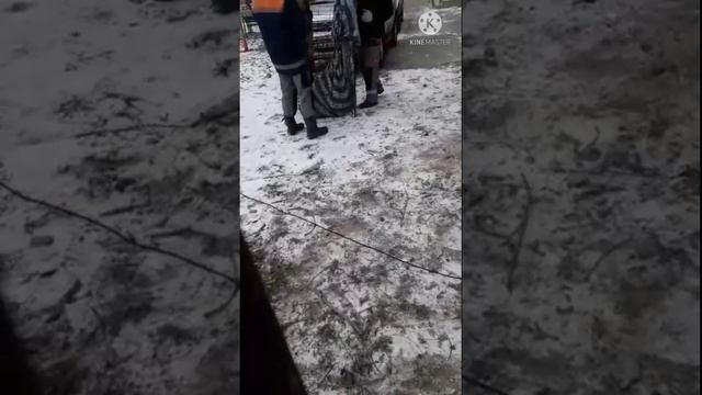 Неудачный отлов петлей на Трандафирилор смотреть онлайн