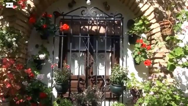 El Alma de los Patios смотреть онлайн