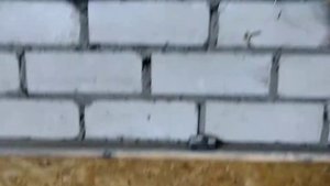 mercedes vito 110cdi  не работает подсветка номера