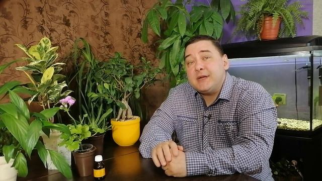 Подкормка пеларгонии йодом. [НЕ НАДО ТАК!] смотреть онлайн