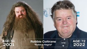 HARRY POTTER (2001) CAST - PRIME & NOW [How They Are Now]