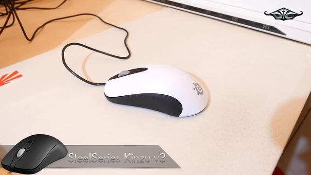 4K SteelSeries Kinzu V3. Просто обзор.