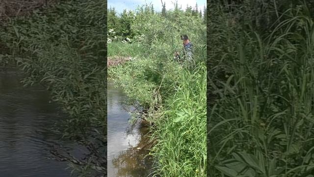 1513 Рыбу Хариус Скрадываем #дмитрийяков #рыбалка #тайга #fishing #hunting #хариус #выживалово #лес