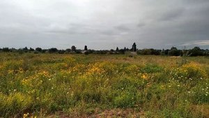 Nature of Donbass. Природа Донбасса