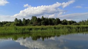 Река Коён. Новосибирская область.