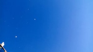 Пермские гривуны.Воронеж.тел.89202130522