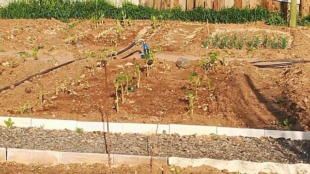 Илья заболел\Соседский огород \Новое развлечение для детей смотреть онлайн