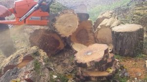 Husqvarna 394 XP chainsaw