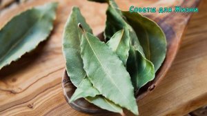 Что будет, если ПОЖЕВАТЬ ЛАВРОВЫЙ ЛИСТ ? Необратимые изменения произойдут в организме - ОЧИЩЕНИЕ ..