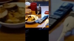 Наш попугай ест соль!