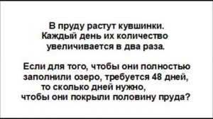 Самый короткий тест на IQ из трёх вопросов