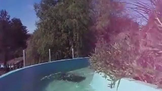 Best Ever Attractions and Rides - Heide Park - Wild Water I смотреть онлайн