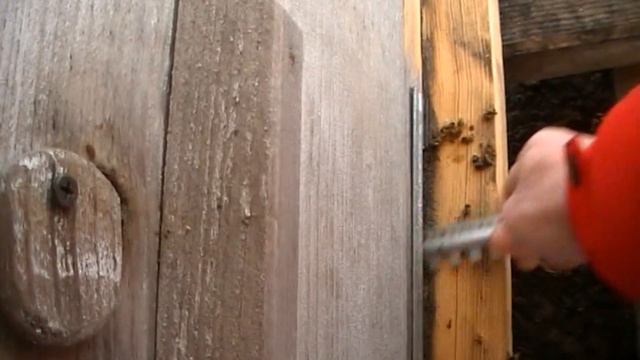 Пчёлы в январе. Подкормка пчёл зимой смотреть онлайн