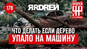 На автомобиль упало (дерево, сосулька и т.п.) - что делать? На примере Порше, Ниссан, Рено, Мицубиси